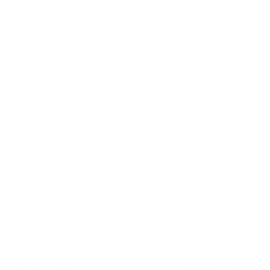 Omega – The Logo Project